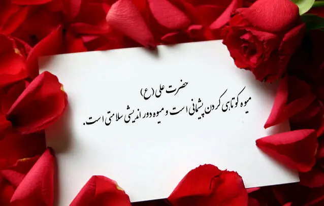 متن‌هایی از امیر المومنین