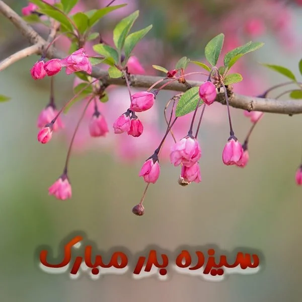 پیام‌های قشنگ تبریک سیزده بدر