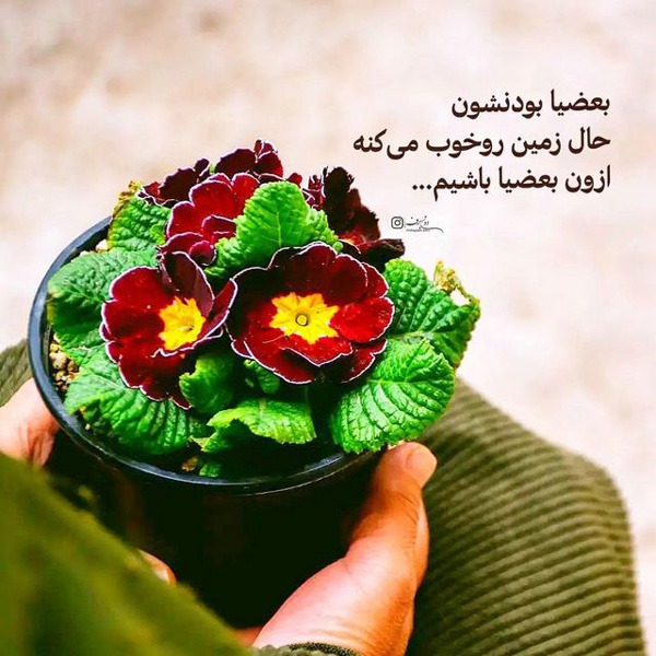 عکس نوشته زیبا برای استوری