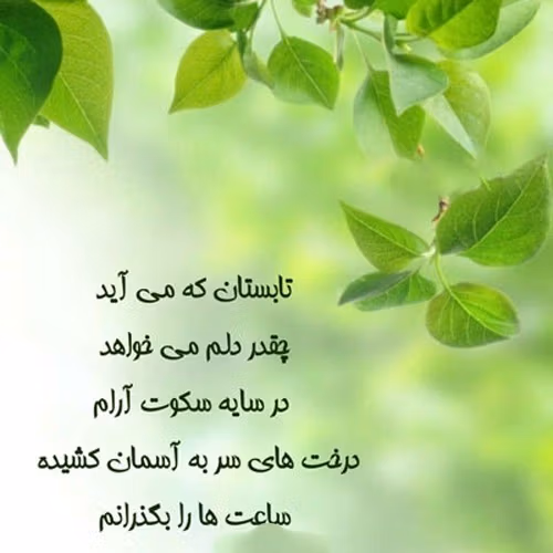 جملات خاص درباره فصل تابستان