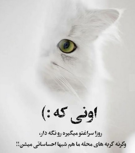 جملات خفن کنایه دار
