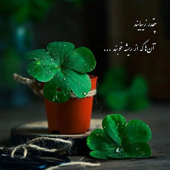 جملات کنایه‌دار و نیش‌دار