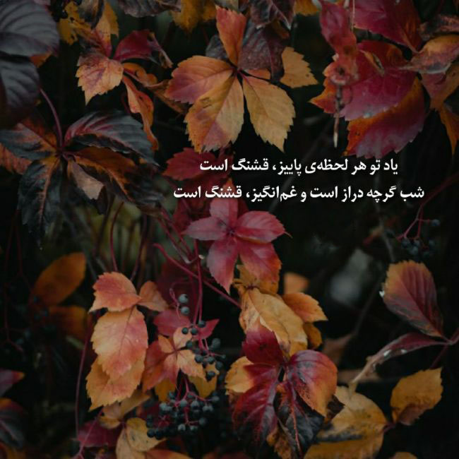 جملات احساسی پاییزی
