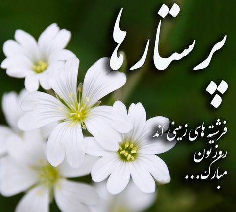 درباره روز جهانی پرستار؛ اهداف این روز، پیام سالانه و متن تبریک