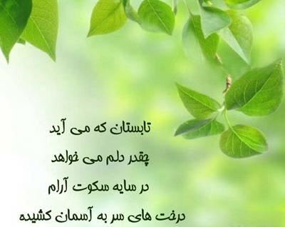 جملات تابستانی زیبا
