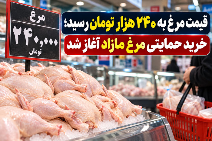 قیمت مرغ به ۲۴۰ هزار تومان رسید